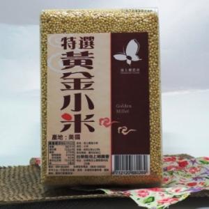 黃金小米 600G